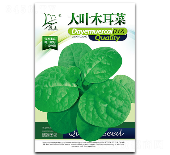 大葉木耳菜（717）-木耳菜種子-閩皇種業(yè)