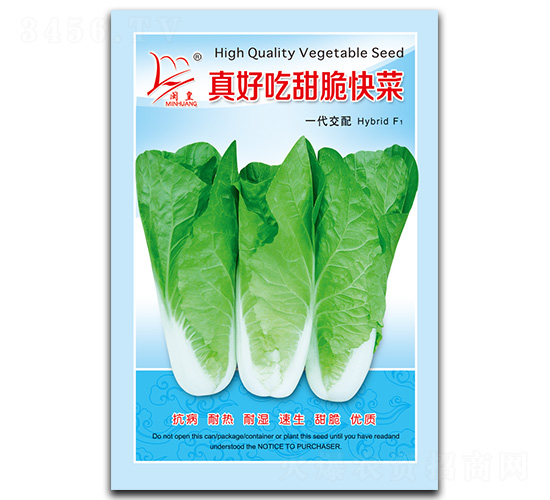 真好吃甜脆快菜-快菜種子-閩皇種業(yè)