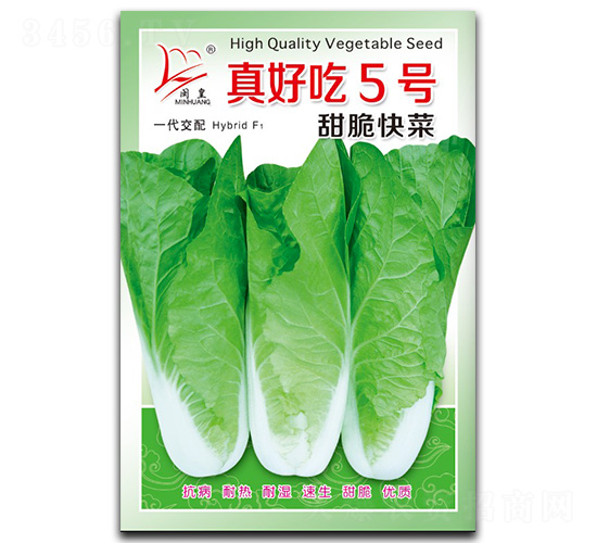 真好吃5號(hào)-快菜種子-閩皇種業(yè)