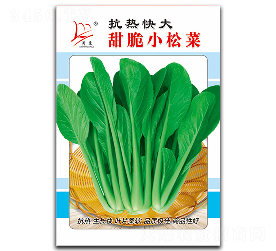 甜脆小松菜-松菜種子-閩皇種業(yè)
