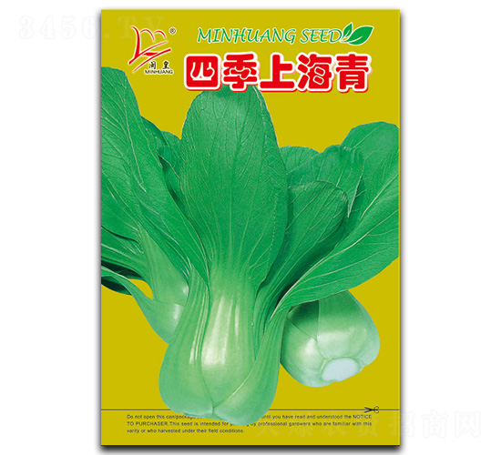 四季上海青-青菜種子-閩皇種業(yè)