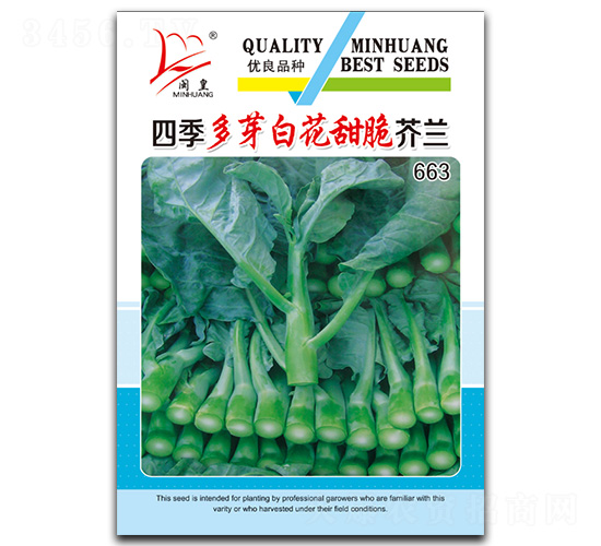四季多芽白花甜脆芥蘭-芥蘭種子-閩皇種業(yè)