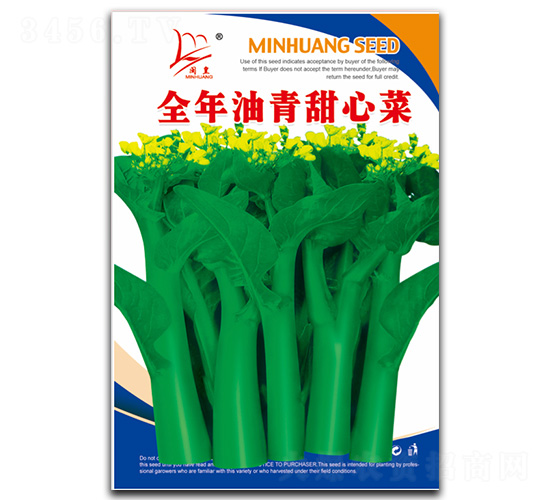 全年油青甜心菜-甜心菜種子-閩皇種業(yè)