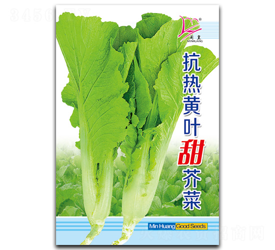 抗熱黃葉甜芥菜-芥菜種子-閩皇種業(yè)