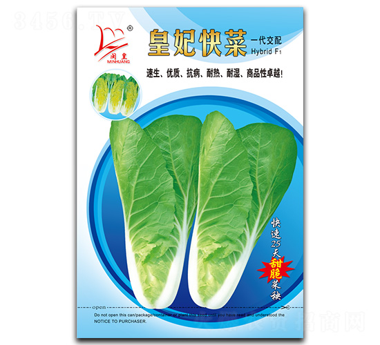 皇妃快菜-快菜種子-閩皇種業(yè)