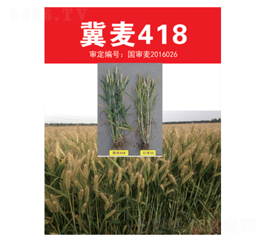 ����418-С���N��-��(li��n)