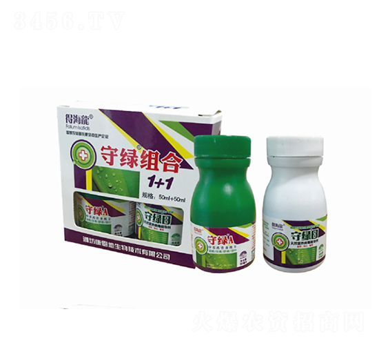 守綠組合1+1-得海龍-康恩地