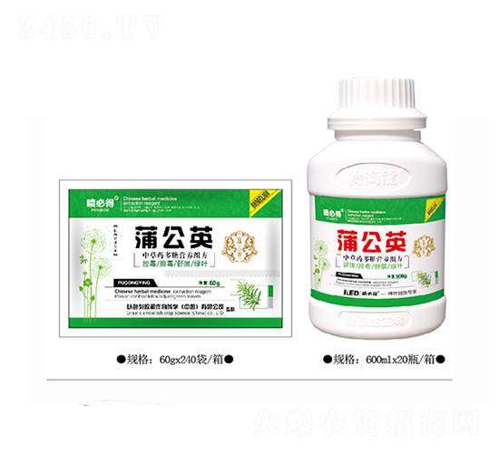 蒲公英-噴必得-康恩地