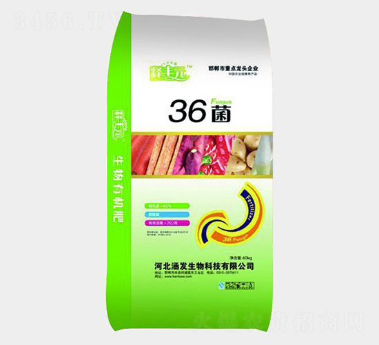 36��΢�������-��SԪ-���l(f��)����