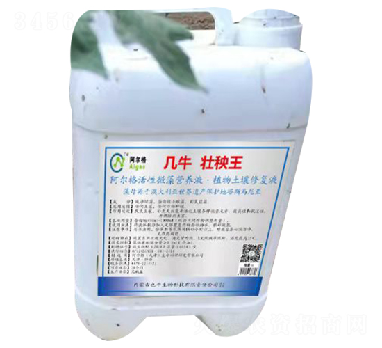 ��ţ������-Ҳţ����