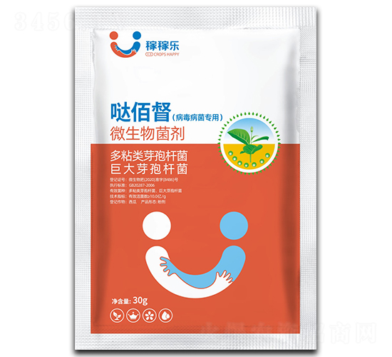 ������������΢�������-�}�۶�-�ڼژ�(l��)