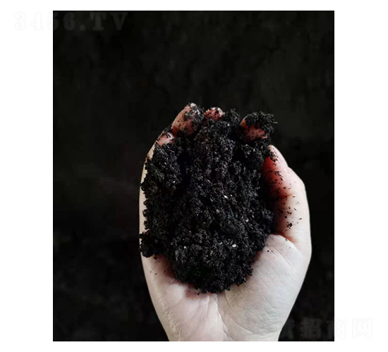 ��̿��-�t�ķ�