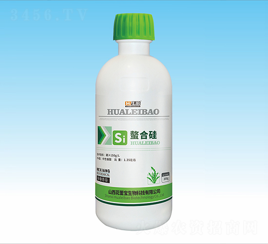 ���Ϲ�-���ٌ�����