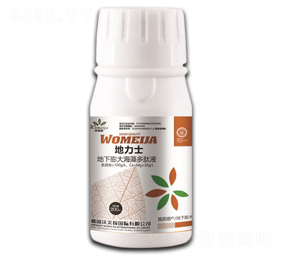 ������������Һ-����ʿ-������