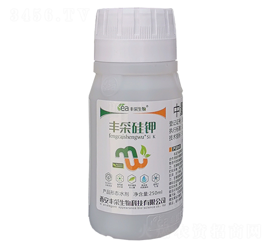 �S�ɹ��-�S������