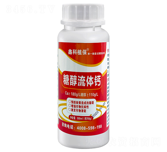 500ml�Ǵ����w�}-�ο�ֲ��