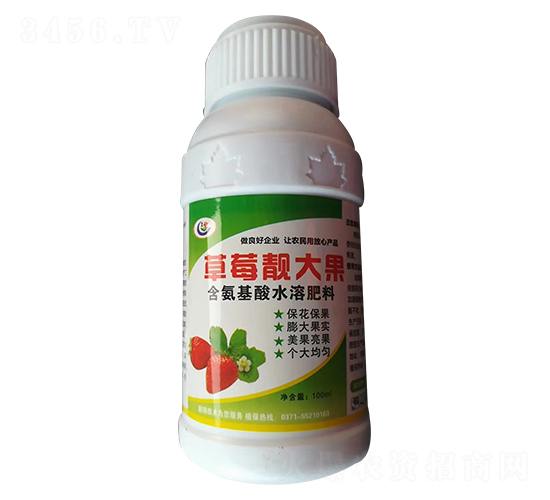 ��ݮ�n���-�\������