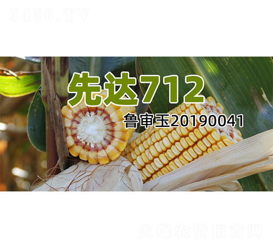 ���_(d��)712-���׷N��-�����N�I(y��)