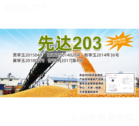 ���_203-���׷N��-�����N�I(y��)