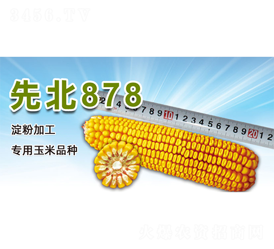 �ȱ�878-���׷N��-�����N�I(y��)