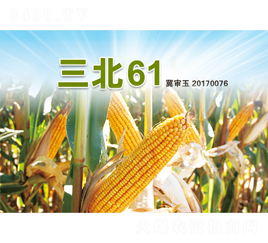 ����61-���׷N��-�����N�I(y��)