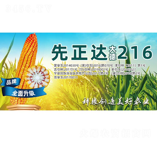 ���216-���׷N��-�����N�I(y��)