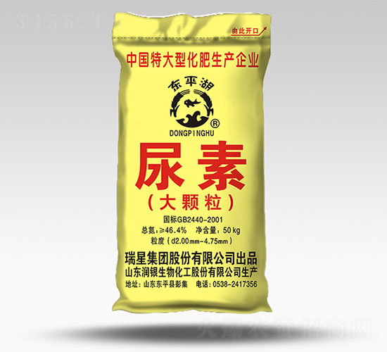 ���w������-�|ƽ��-����