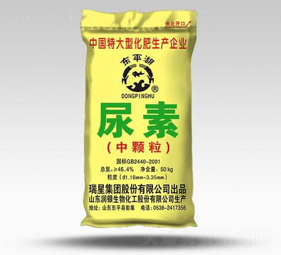 ���w������-�|ƽ��-����