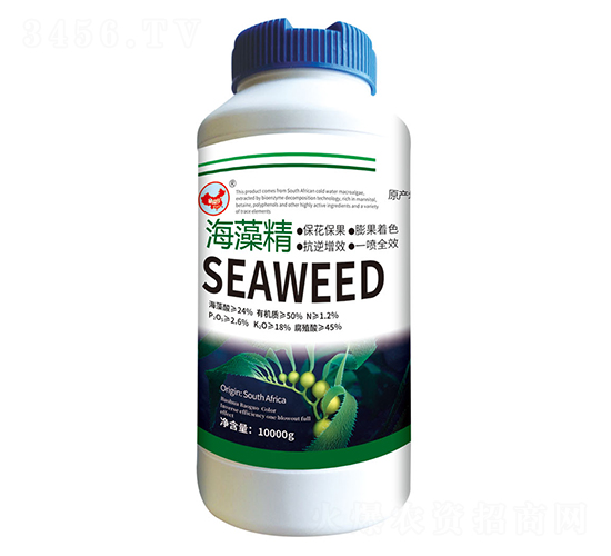 ���徫-ɽ�|�������