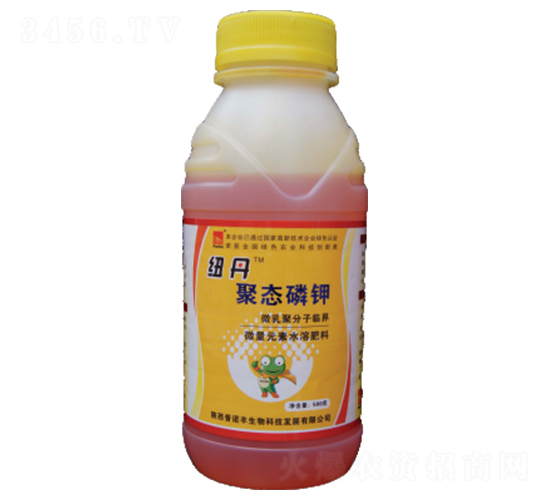 �~���ۑB(t��i)���-���Z�S