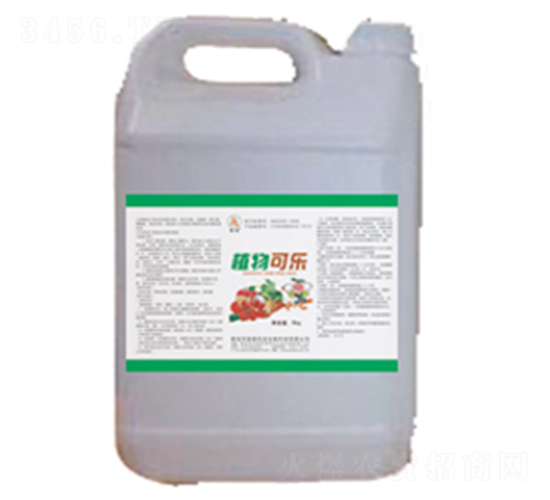 植物可樂-國泰民安