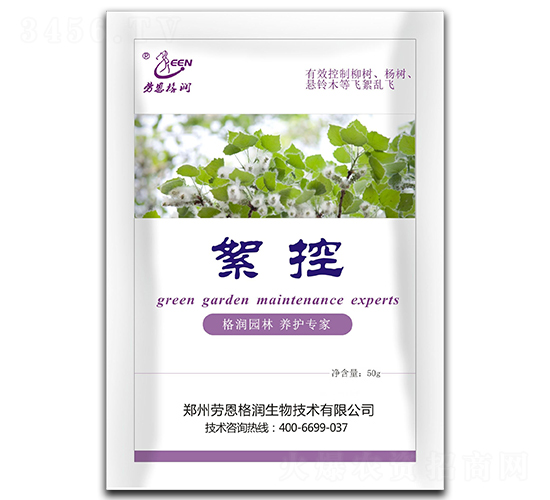 ����-�ڶ���