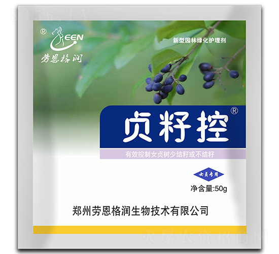 ؑ�ѿ�-�ڶ���