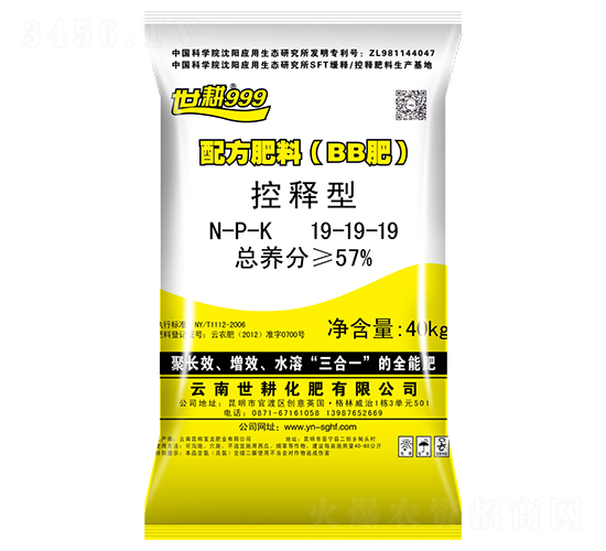 ������䷽����19-19-19-����