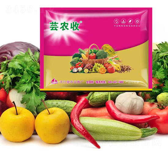 �|�r(n��ng)��-СħŮ-���н�