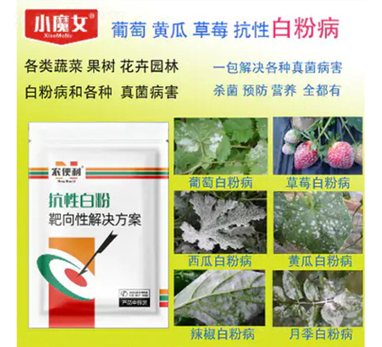 ���԰а߰����Խ�Q����-�r(n��ng)����-���н�