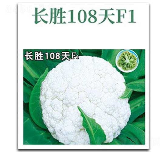 �L��108��-��Ҭ�˷N��-���d