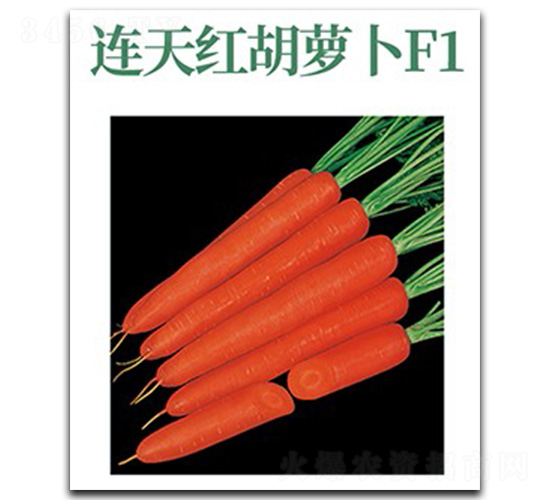 �B��t-���}���N��-���d