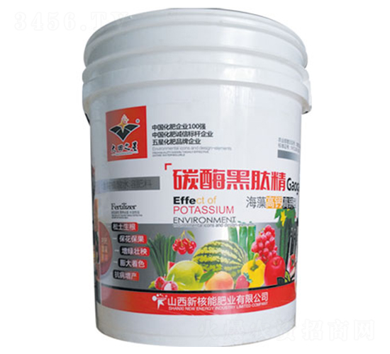 碳酶黑肽精-新核能