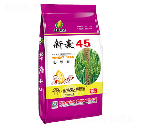 新麥45-小麥種子-金粒農(nóng)業(yè)