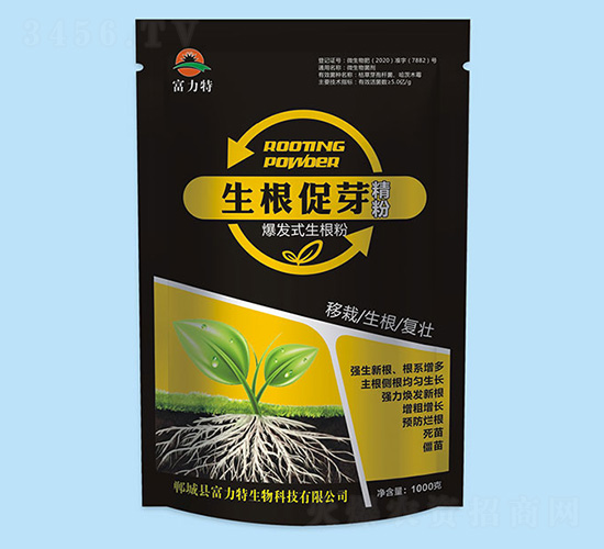 ������ѿ����-������