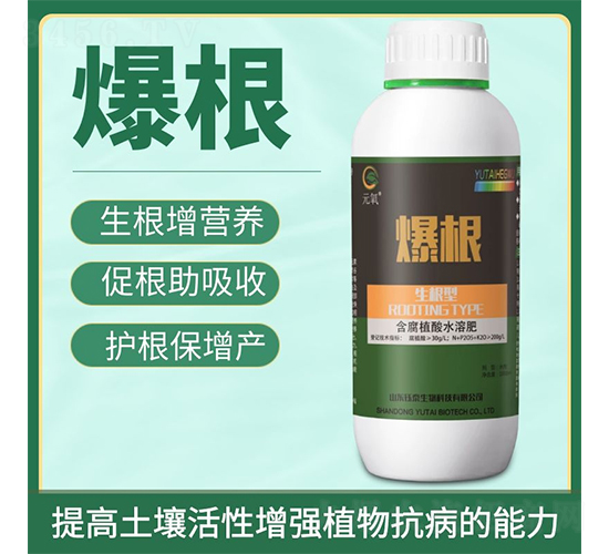 ����-�̩����