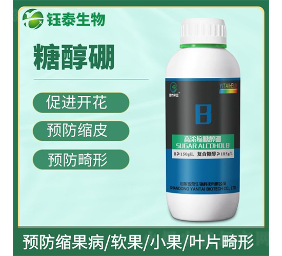 �Ǵ���-�̩����