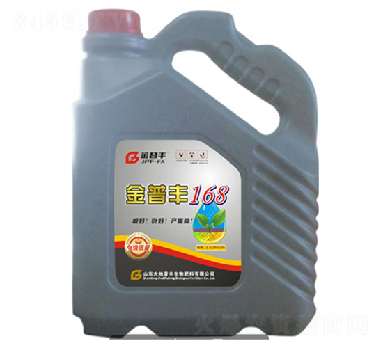 �����S168-�����S