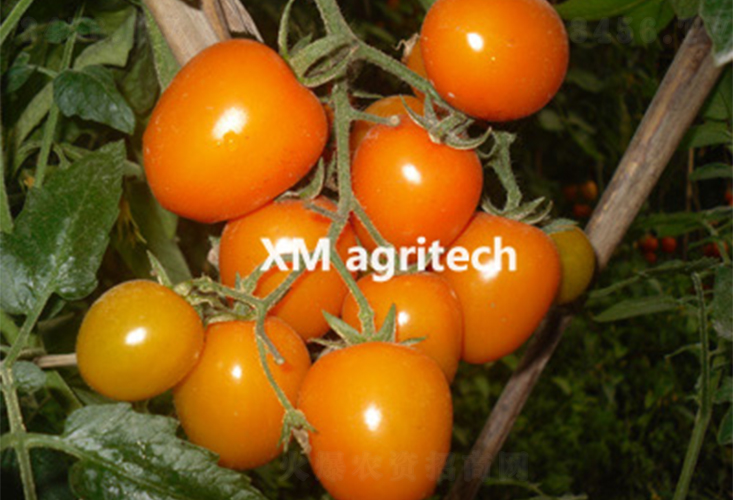 ��u-���ҷ��ѷN��-���r(n��ng)�r(n��ng)�I(y��)