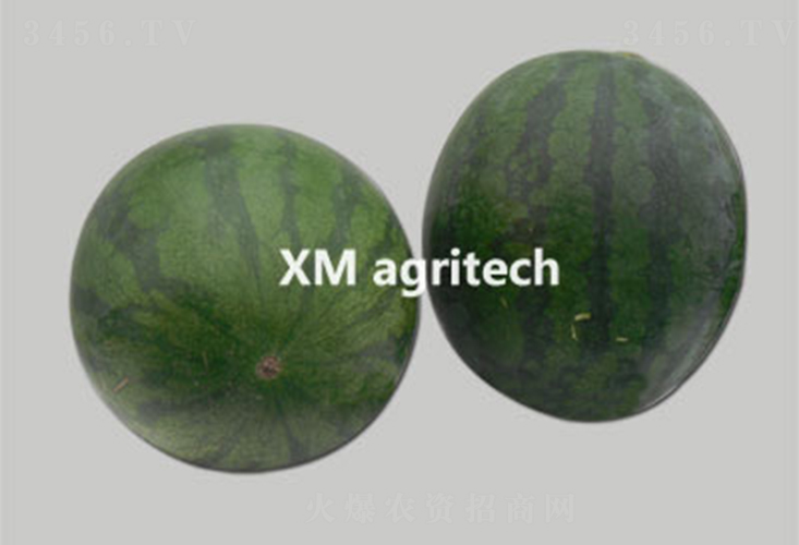 �����o��-���ϷN��-���r(n��ng)�r(n��ng)�I(y��)