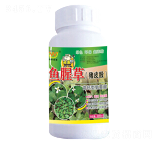 魚腥草（豬皮股）專用氨基酸葉面肥-潤(rùn)田肥料