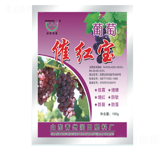 ���Ѵ߼t��-��(r��n)�����