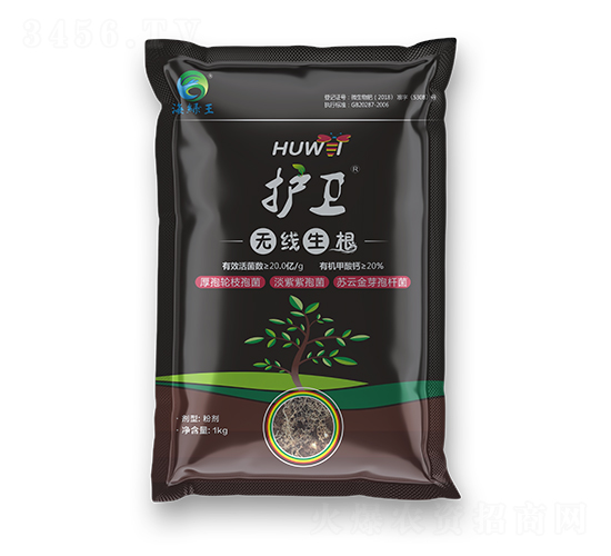 護衛(wèi)·無線生根-海綠王