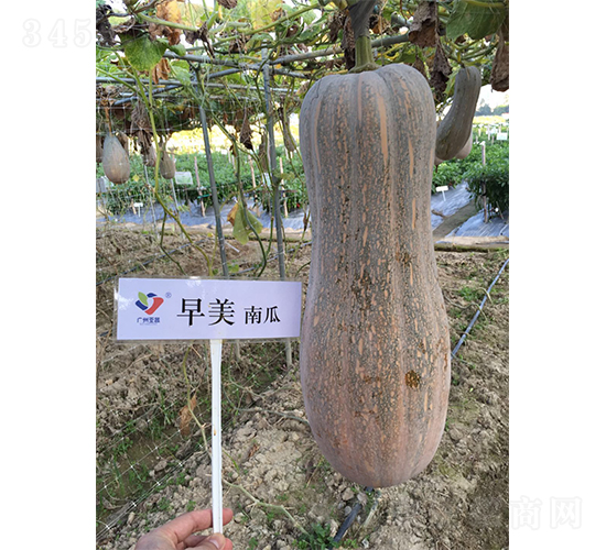 ��������1̖(h��o)-�ϹϷN��-�V�݁���